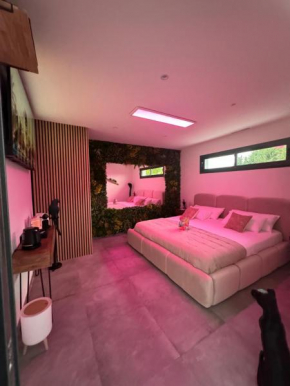 Reve D Amazonie & Chambre Standard